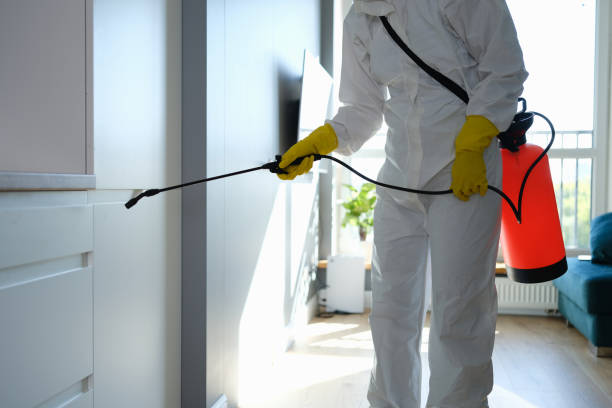 Best Mold Remediation for Schools in Springfield, NE